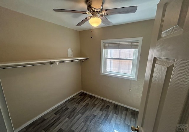 walk in closet featuring dark wood-type flooring and a ceiling fan