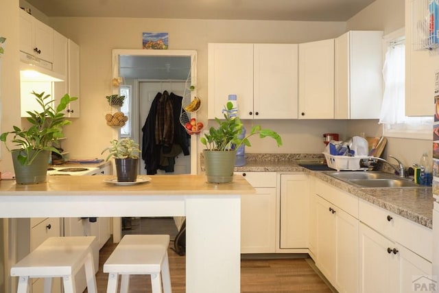 kitchen with light countertops, a sink, and white cabinets