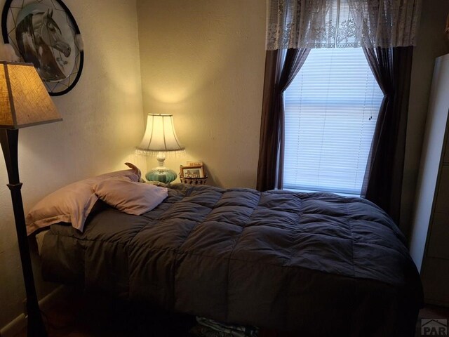 bedroom with multiple windows