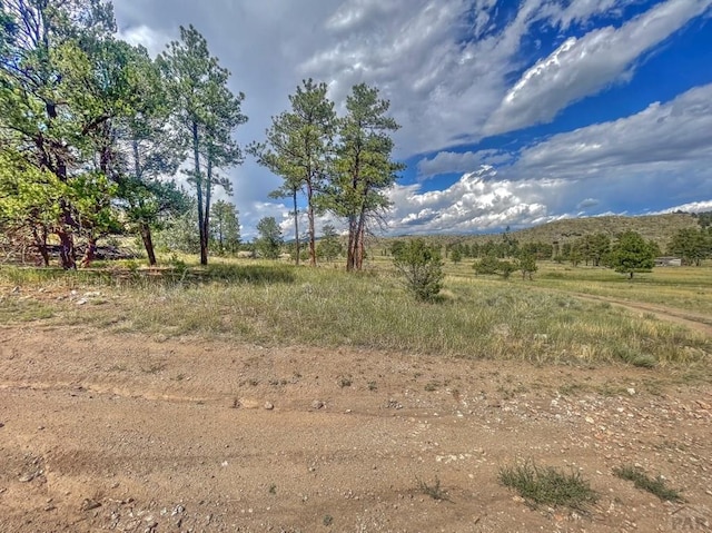 Listing photo 3 for 488 Color Sweet Dr, Texas Creek CO 81223