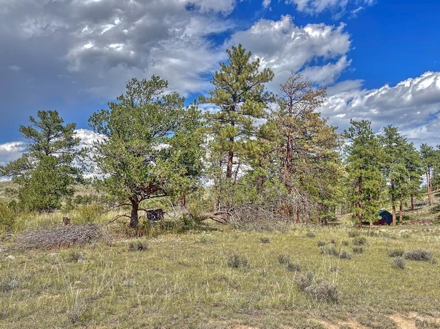 488 Color Sweet Dr, Texas Creek CO, 81223 land for sale