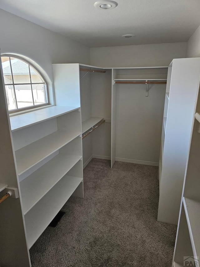 spacious closet featuring light carpet