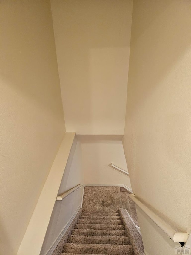 stairway with baseboards and carpet floors