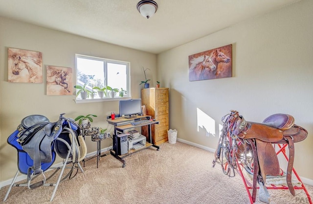 office with carpet flooring and baseboards