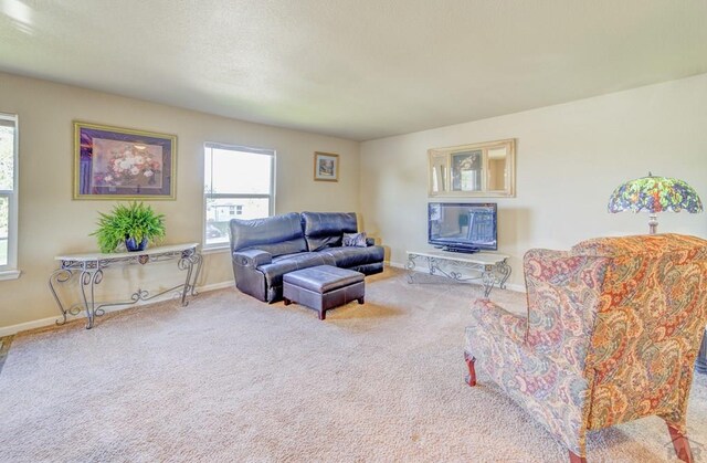 carpeted living area featuring baseboards