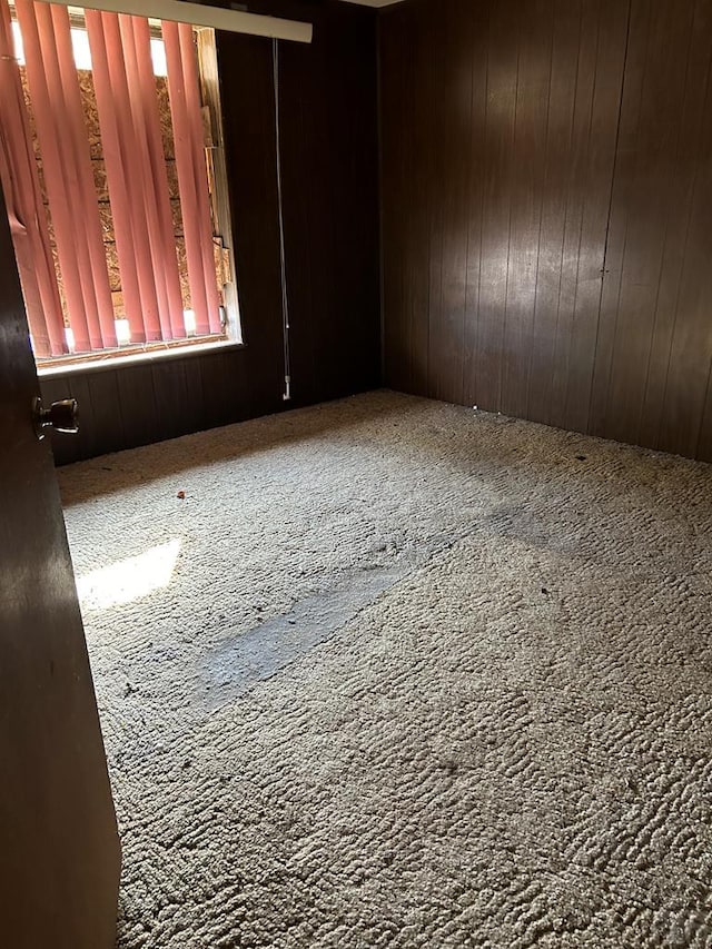 unfurnished room featuring wood walls and carpet