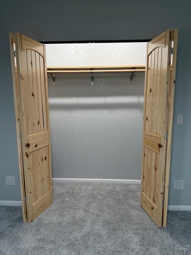 110 W 10th St, Walsenburg, CO 81089 - view of closet