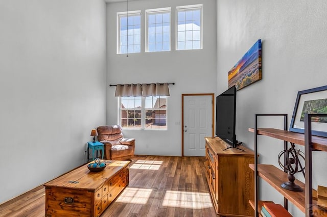 entryway with wood finished floors and a towering ceiling
