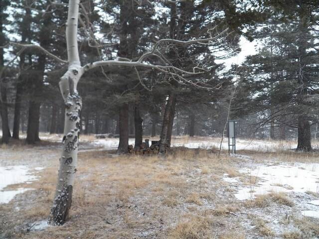 0 Spanish Peaks Dr, Aguilar, CO 81020