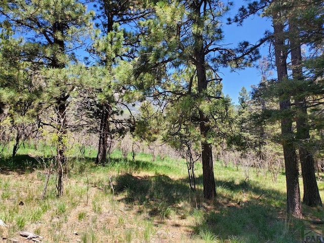 0 Spanish Peaks Dr, Aguilar, CO 81020