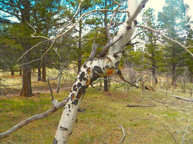 0 Spanish Peaks Dr, Aguilar, CO 81020
