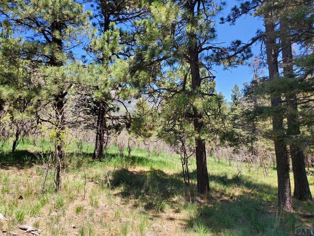 0 Spanish Peaks Dr, Aguilar CO, 81020 land for sale