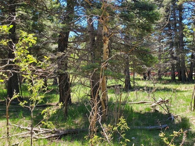 0 Spanish Peaks Dr, Aguilar, CO 81020