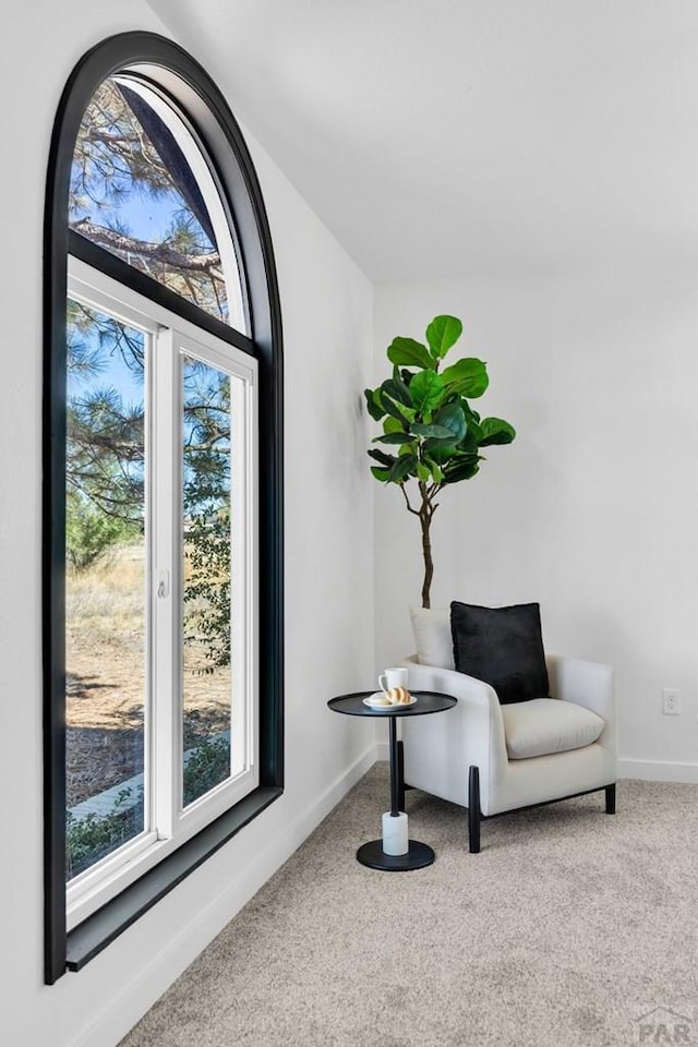 living area featuring carpet flooring and baseboards