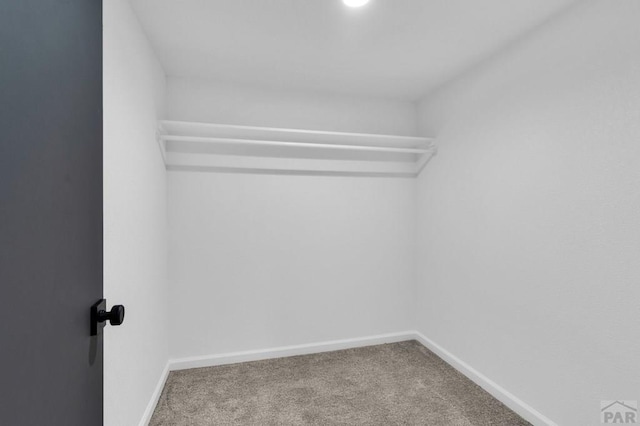 walk in closet with carpet