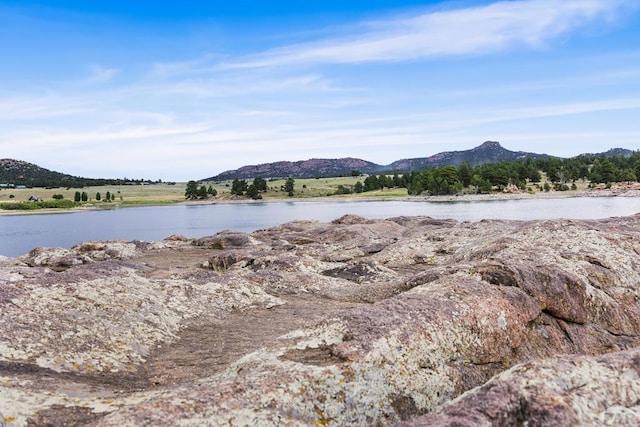 38 William Ave, Westcliffe, CO 81252 - photo 37