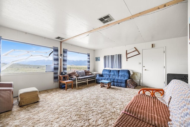 38 William Ave, Westcliffe, CO 81252 - photo 13