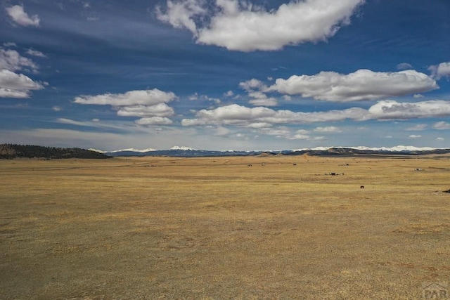 181 Montezuma Ln, Hartsel, CO 80449 - photo 23