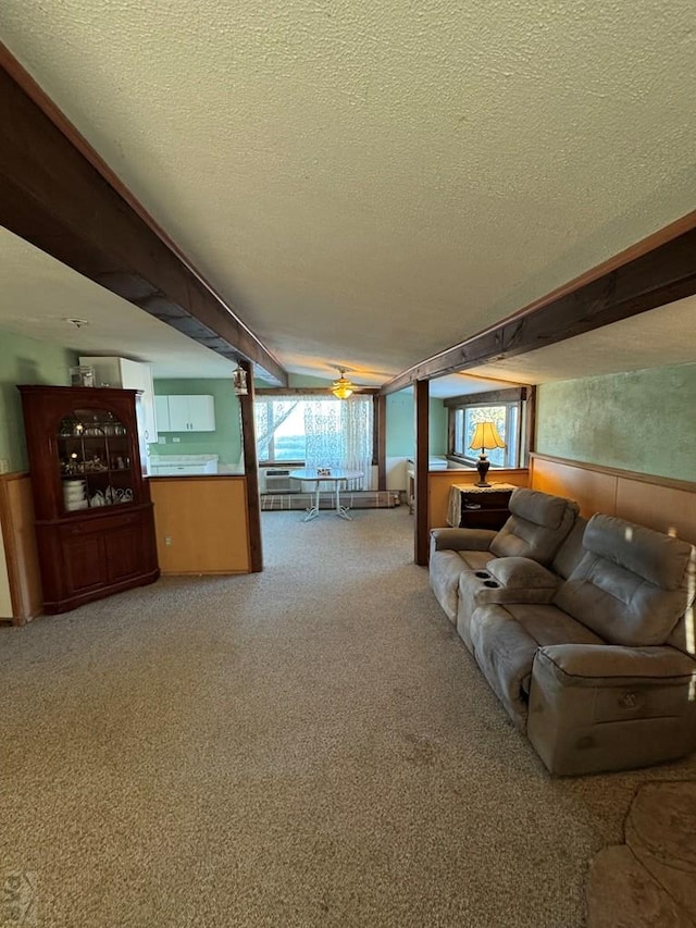 living area with carpet and a textured ceiling