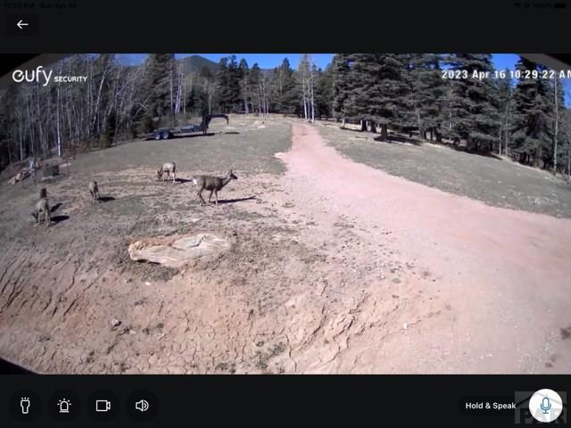 9551 State Highway 165, Rye, CO 81069 - photo 20