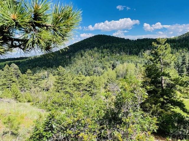 9551 State Highway 165, Rye, CO 81069 - photo 26