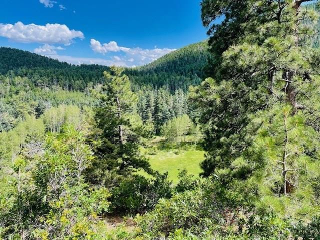 9551 State Highway 165, Rye, CO 81069 - photo 21