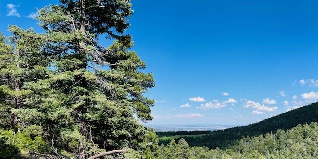 9551 State Highway 165, Rye, CO 81069 - photo 14