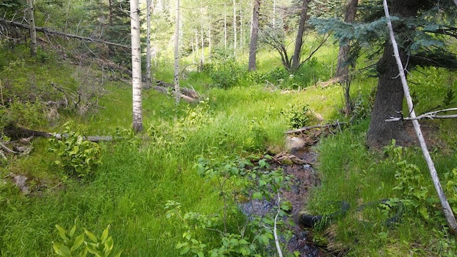 9551 State Highway 165, Rye, CO 81069 - photo 2