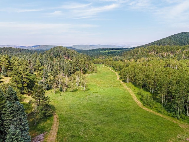 9551 State Highway 165, Rye, CO 81069 - photo 22