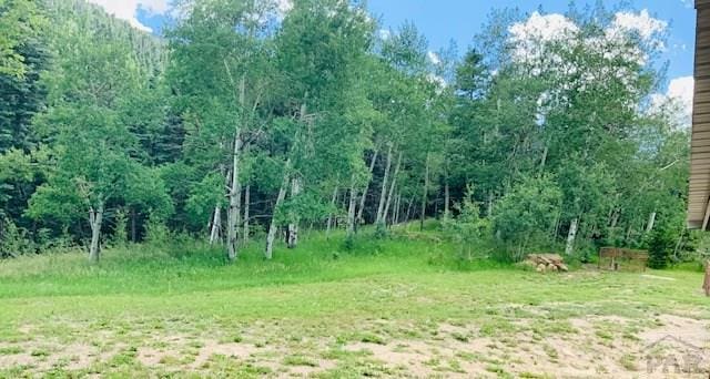9551 State Highway 165, Rye, CO 81069 - photo 23