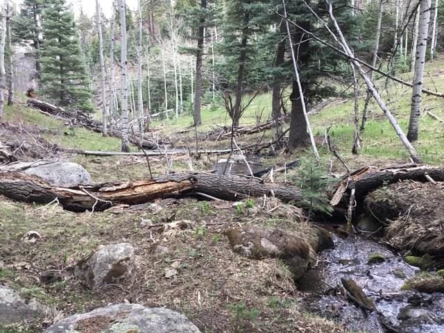 9551 State Highway 165, Rye, CO 81069 - photo 16