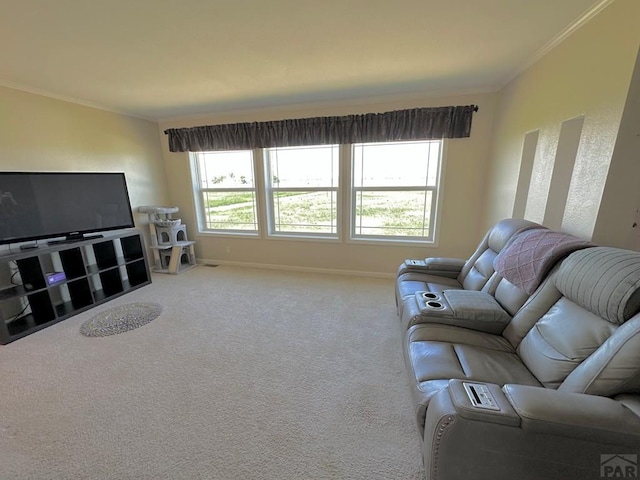 15406 County Rd E.25, Ordway, CO 81063 - carpeted living area featuring ornamental molding