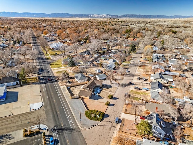 1120 Longwood Ave, Pueblo, CO 81004 - photo 32