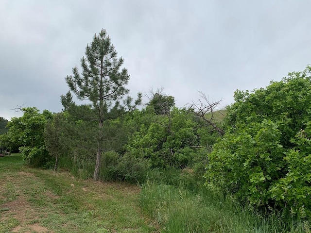 2075 County Rd 389th Rd, Wetmore, CO 81253 - view of undeveloped land
