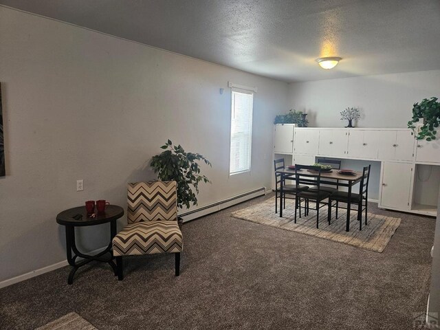 living area featuring a baseboard radiator, baseboards, and carpet flooring