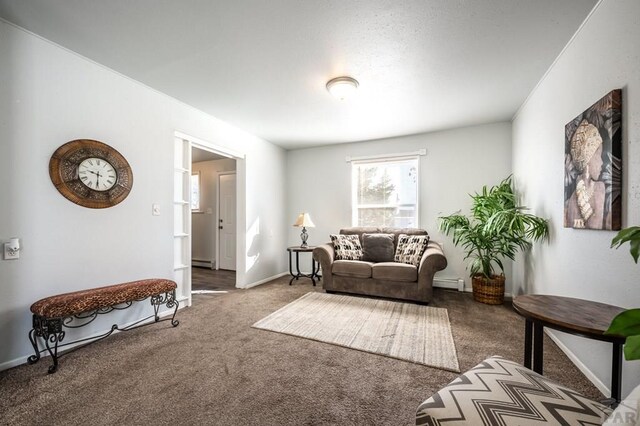 living area with a baseboard radiator, carpet, baseboards, and baseboard heating