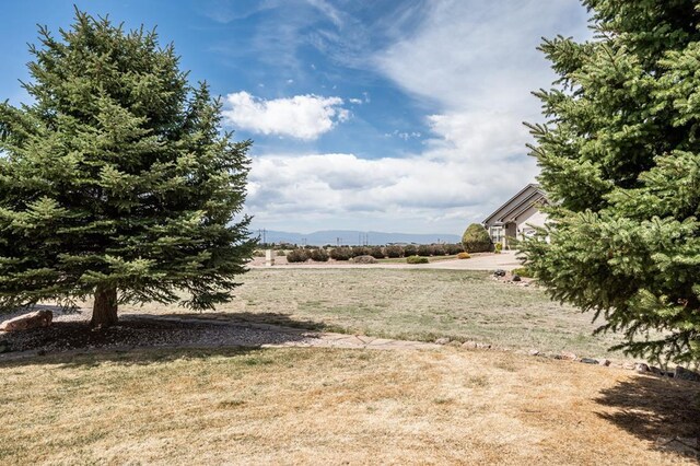 241 E Linden Ave, Pueblo West, CO 81007 - photo 34