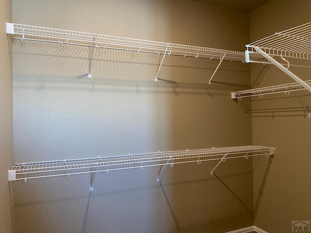 view of walk in closet