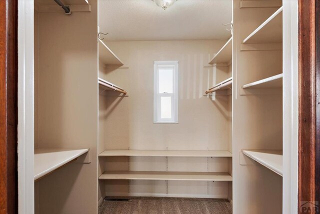 spacious closet with carpet