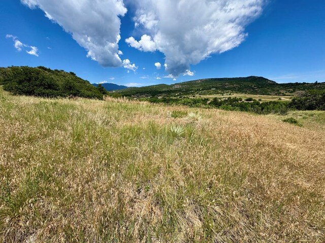 TBD Zola Ct, Colorado City, CO 81019 - photo 1