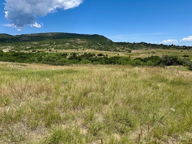TBD Zola Ct, Colorado City, CO 81019 - photo 3