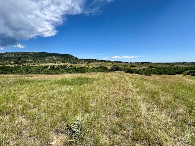 TBD Zola Ct, Colorado City, CO 81019 - photo 2