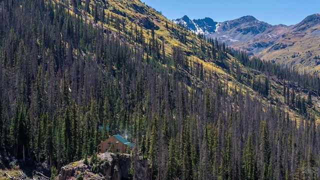 property view of mountains