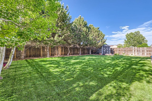 3603 Bobcat Ln, Pueblo, CO 81005 - view of yard with a storage shed and an outbuilding
