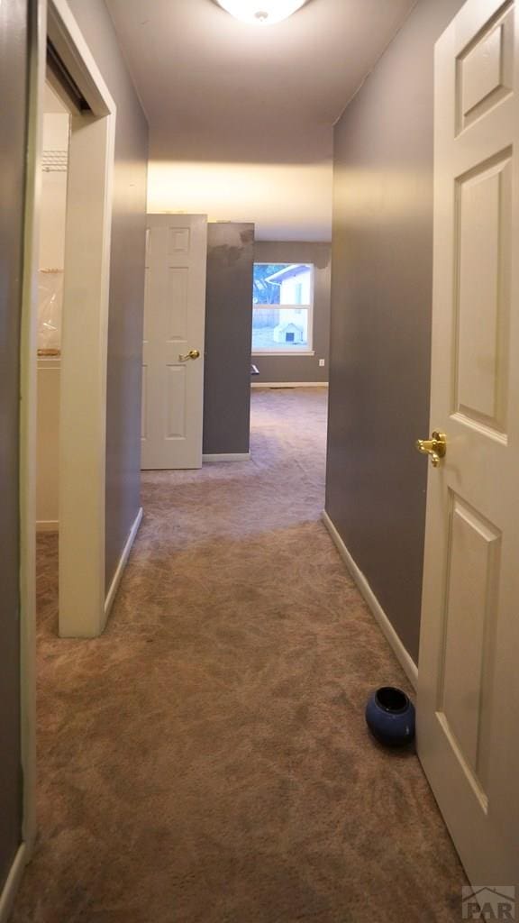 corridor featuring carpet and baseboards