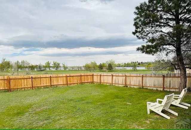 view of yard with a fenced backyard