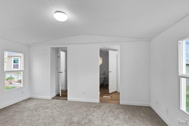 400 Hickory St Unit 172, Fort Collins, CO 80524 - unfurnished bedroom featuring lofted ceiling, carpet, baseboards, and multiple windows