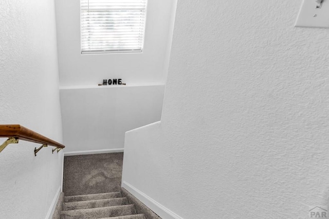 1237 N Stratton Dr, Pueblo West, CO 81007 - photo 24