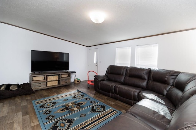 living room featuring a textured ceiling, ornamental molding, and dark wood-style flooring