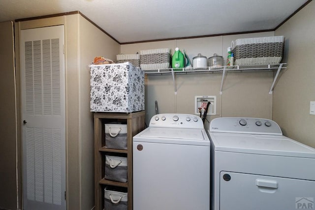 clothes washing area with laundry area, ornamental molding, and washer and clothes dryer